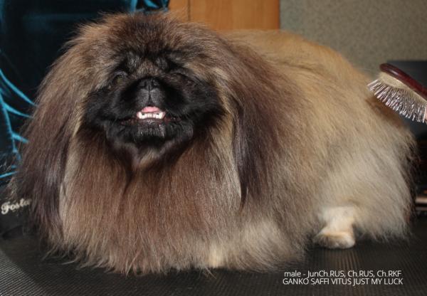 Прикрепленное изображение: в33-а.jpg